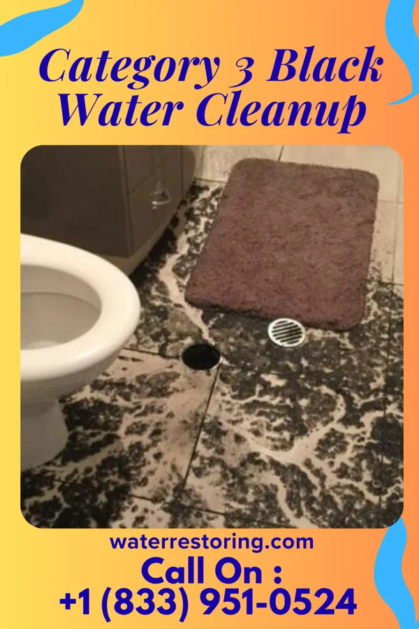 Category 3 Black Water Cleanup in Macksburg, OH