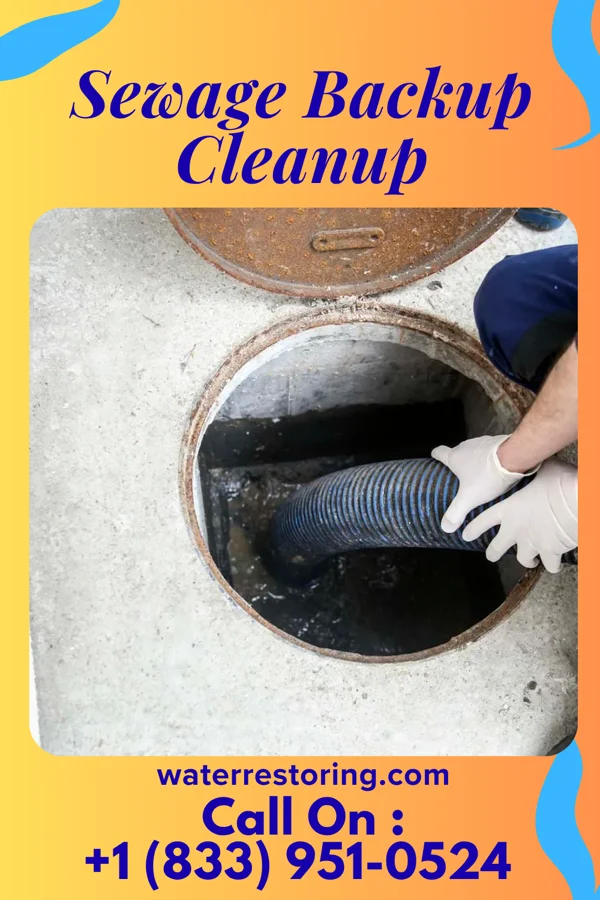 Sewage Backup Cleanup in Macksburg, OH