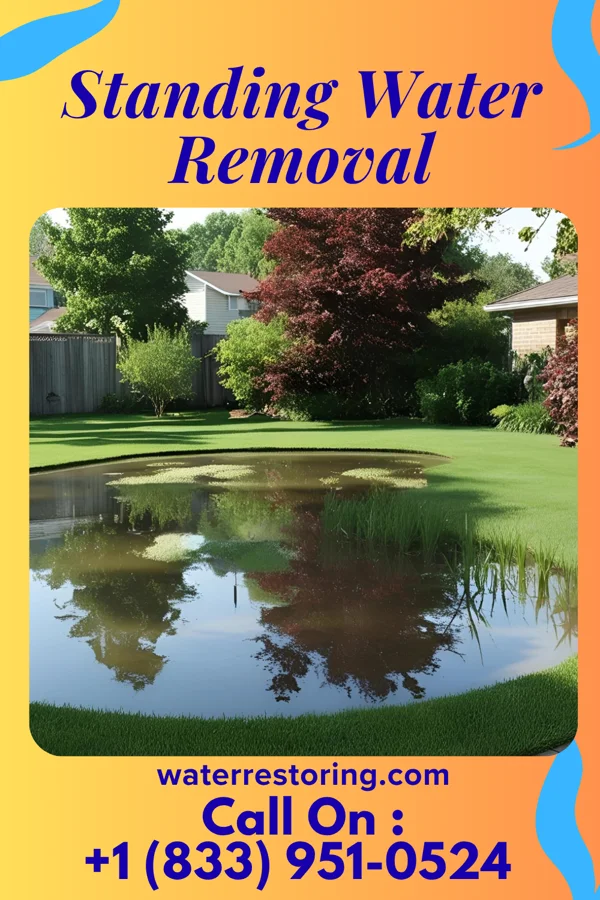 Standing Water Removal in Macksburg, OH